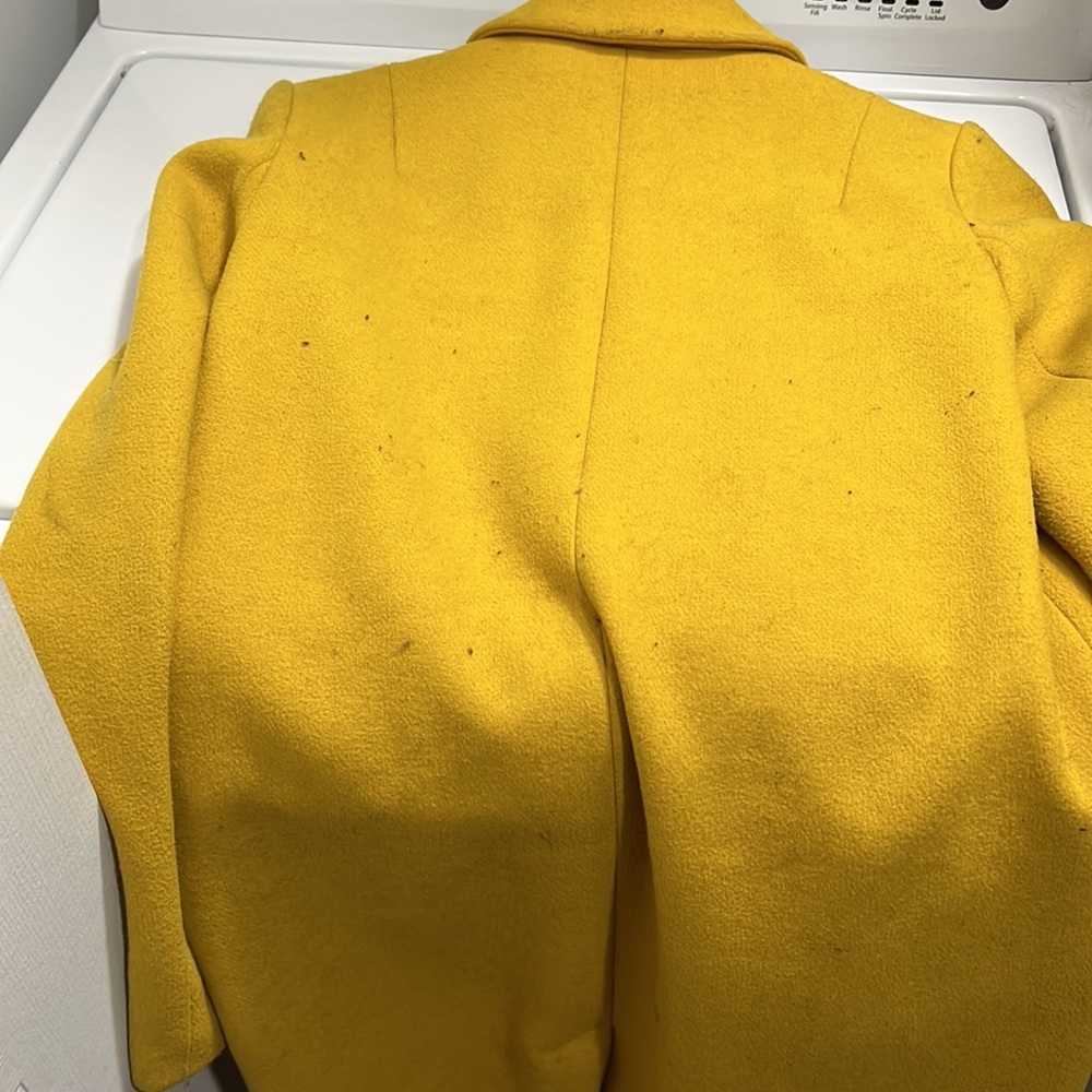 Yellow jacket - Picture 3 of 3